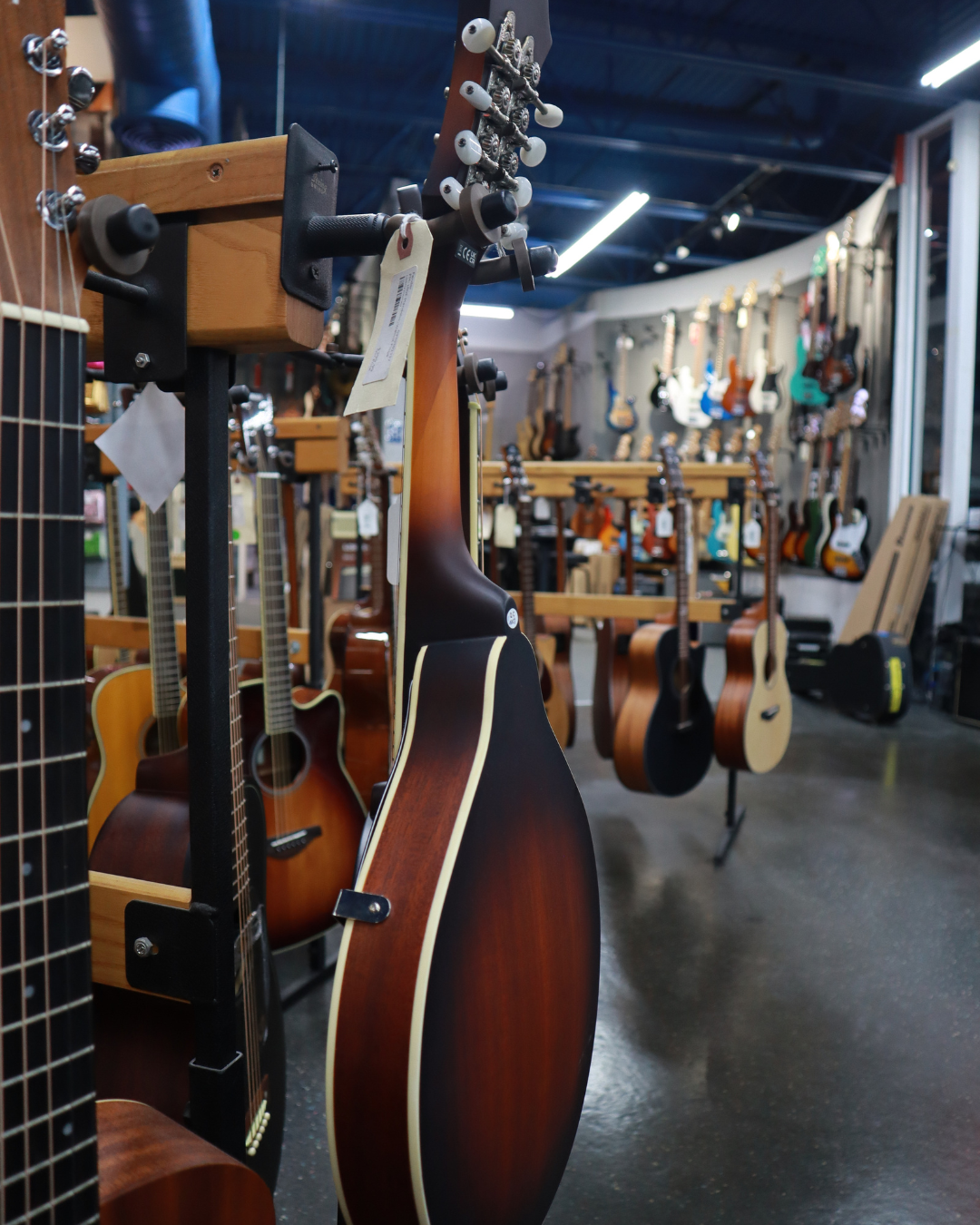 Fender 0970382337 PM-180E Mandolin, Walnut Fingerboard, Aged Cognac Burst