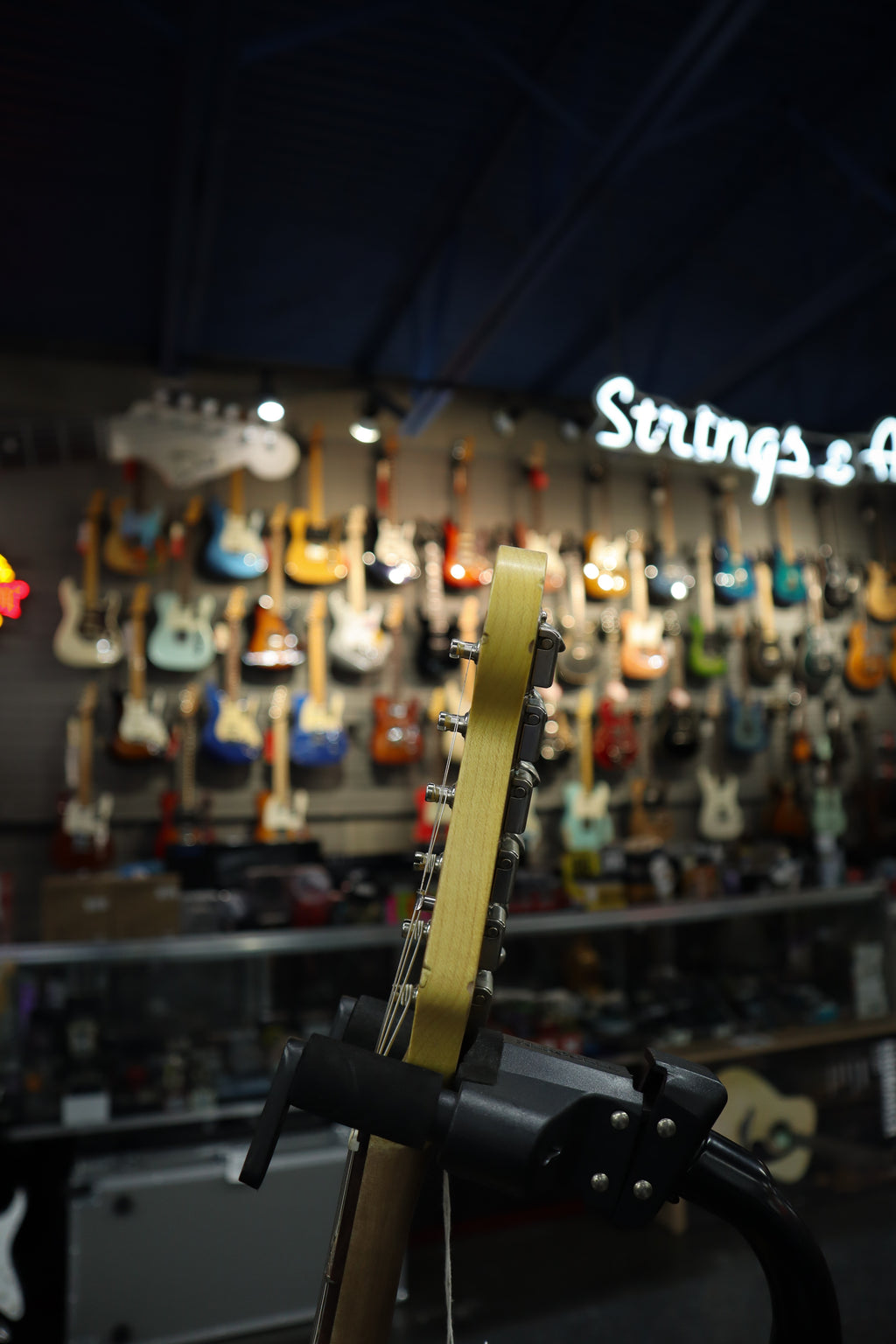 Nash S63 Alder Gold Sparkle