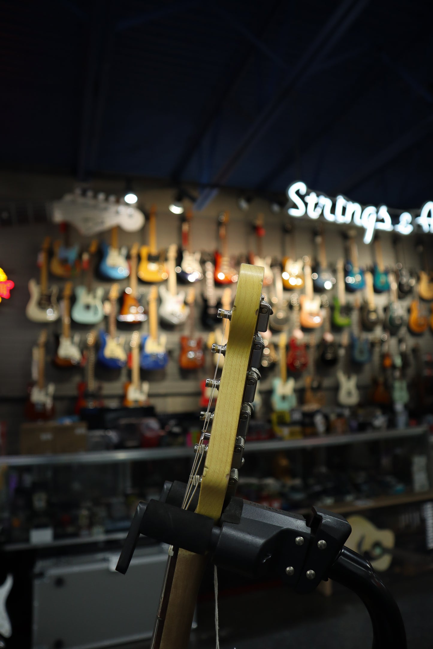 Nash S63 Alder Gold Sparkle