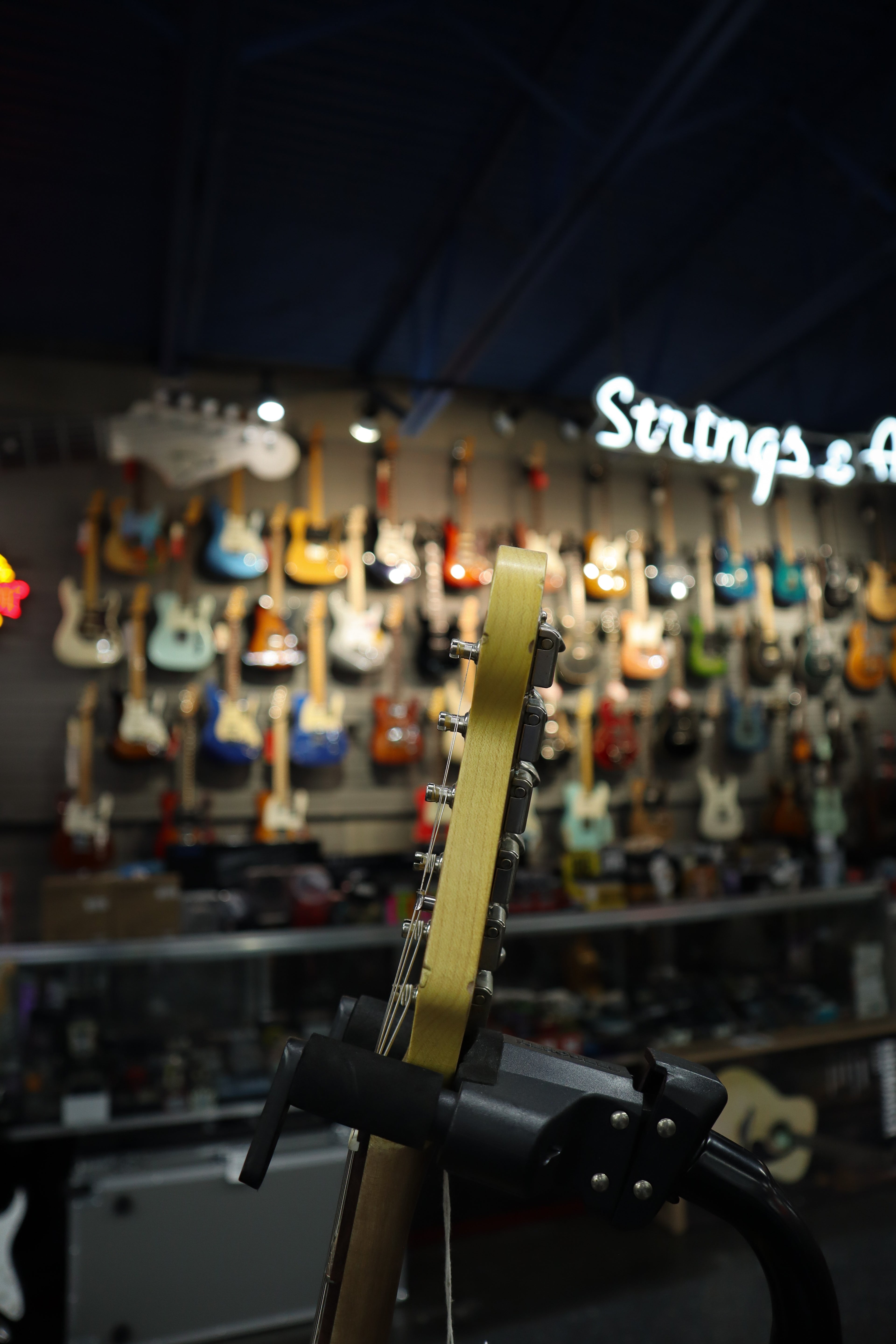 Nash S63 Alder Gold Sparkle